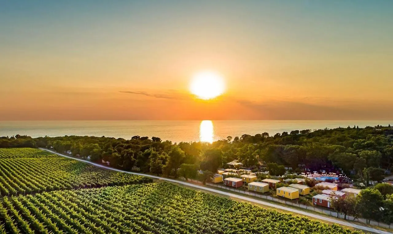 Luxe tent Easyatent Safari Tent Aminess Maravea Novigrad Istria